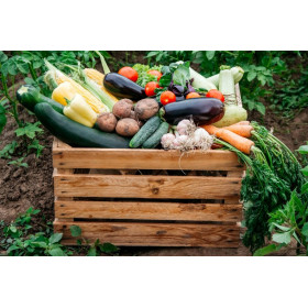 Gemüse Kiste groß