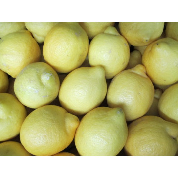 Zitronen 500g