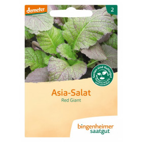 Bingenheimer Asia Salat Red...
