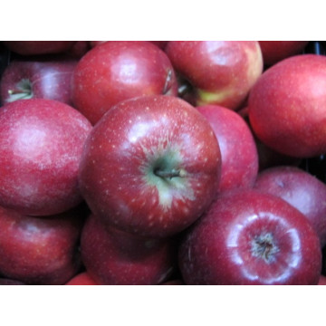 Äpfel Red Jonaprince 500g +-