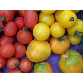 Tomaten Verarbeitung 1kg