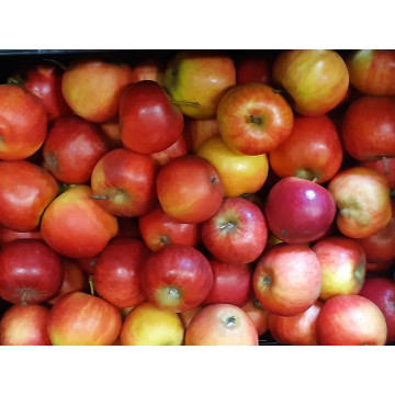 Äpfel (Kinderäpfel) 1 kg