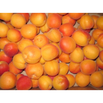 Aprikosen orange 250g