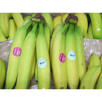 Bananen 500g +-