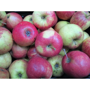 Äpfel Braeburn 500g +-