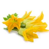 Zucchini Blüten Eschenhof