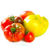Fleischtomaten Ochsenherz Eschenhof