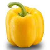 Paprika gelb Eschenhof