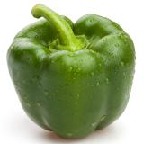 Paprika grün Eschenhof