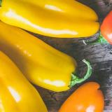 Spitzpaprika gelb Eschenhof