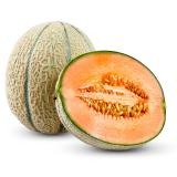Honigmelone klein Eschenhof