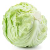 Weißkohl groß Eschenhof