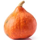 Kürbis Hokkaido mini Eschenhof