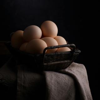 Eier 10 St MHD 22.7.