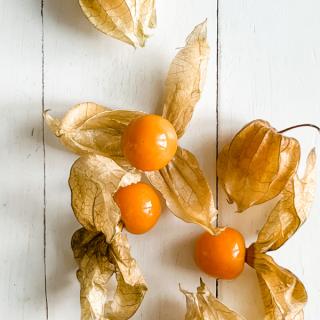 Physalis 100 g