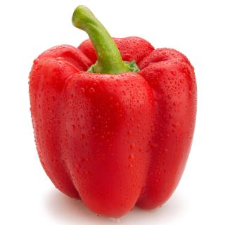 Paprika rot Eschenhof