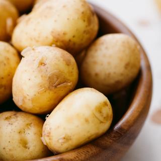 Kartoffeln Lea festkochend