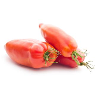 Tomaten San Marzano Eschenhof