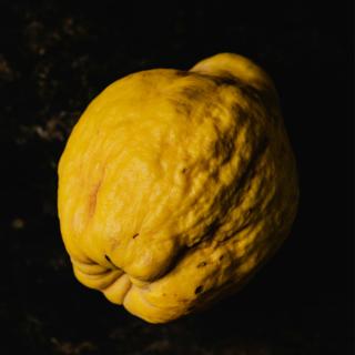 Quitten aus der Region