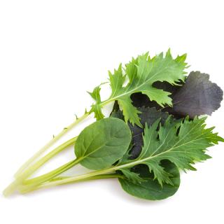 Asia Salat aus der Region