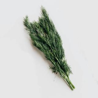Dill im Bund aus der Region