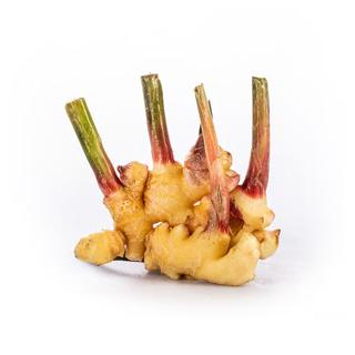 Rarität: Ingwer frisch Deutsche Ernte 100 g