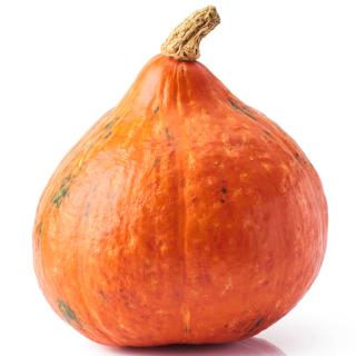 Kürbis Hokkaido groß Eschenhof