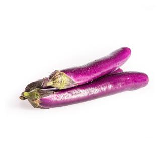 Rarität: japanische Auberginen