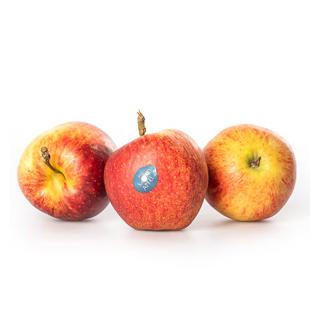 Vollmond Äpfel Jonagored aus der Region