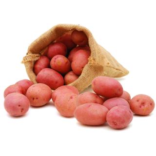 12,5 kg Kartoffeln Laura vfk aus der Region