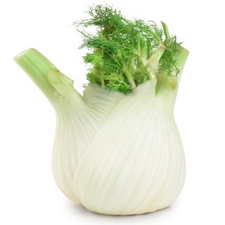 Fenchel aus der Region