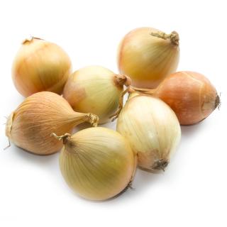 Zwiebeln gelb neue Ernte