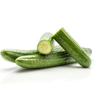 Salatgurke Deutsche Ernte