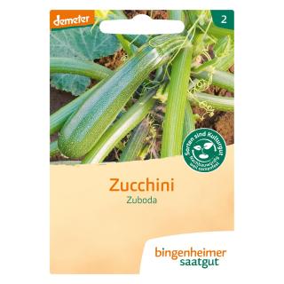 Saat Zucchini Zuboda