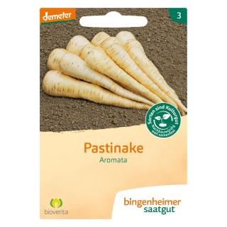 Saat Pastinake Aromata