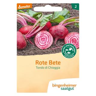 Saat Rote Beete Tondo di Choggia