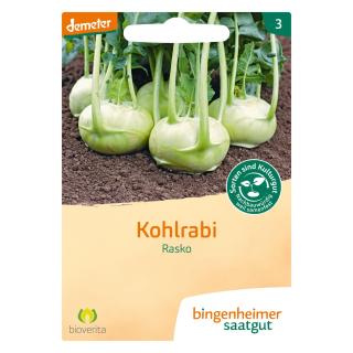 Saat Kohlrabi Rasko