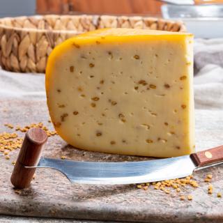 Gouda Bockshornklee
