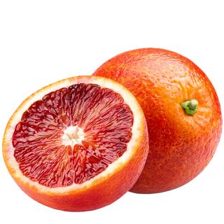 Orangen Halbblut Premium