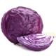 Rotkohl Eschenhof