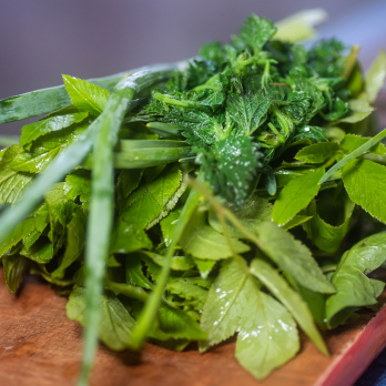 Wildkräuter Mischung Eschenhof