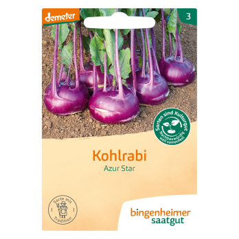Saat Kohlrabi blau Azur Star