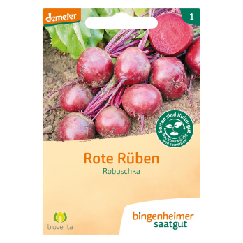Saat Rote Bete Robuschka