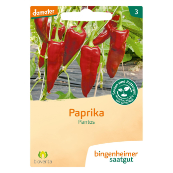 Saat Paprika Pantos