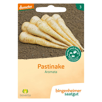 Saat Pastinake Aromata