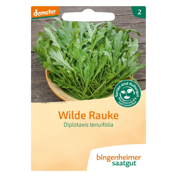 Saat Rucola Wilde Rauke