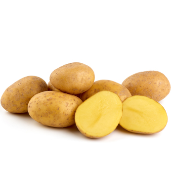 Kartoffeln Anuschka aus der Region