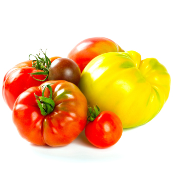 Fleischtomaten Eschenhof