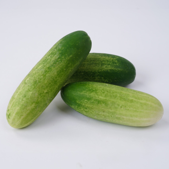 2 kg Schmorgurken Eschenhof