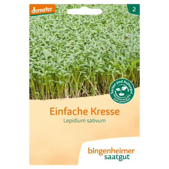 Saat Einfache Kresse